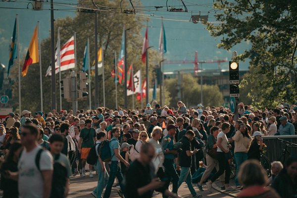 Découvrez des brises vue en bois pour sublimer votre jardin