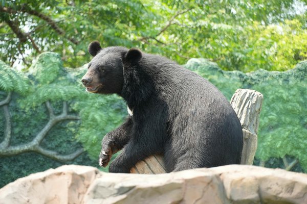 Avis clients sur photo climat : un service photovoltaïque partagé